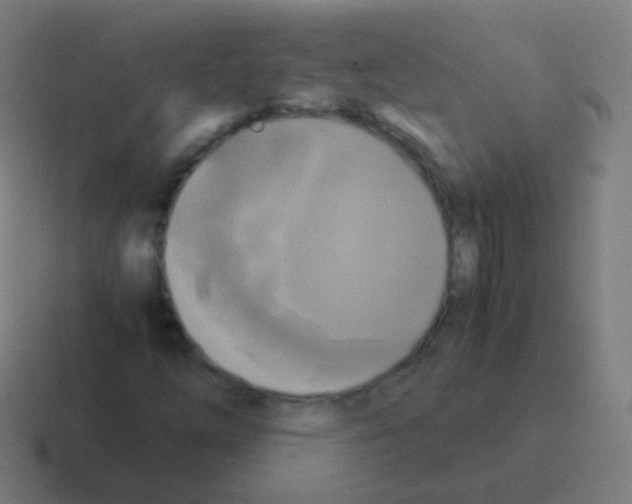 X0000116051254200912312245