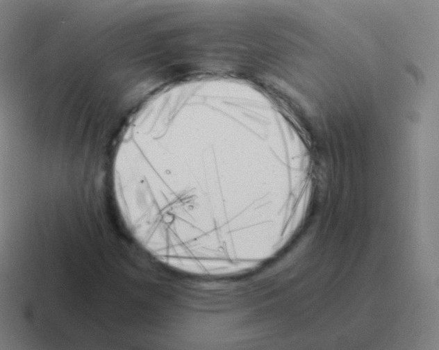 X0000116051257200912312245