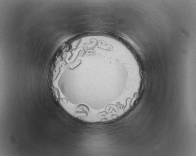 X0000116051259200912312245