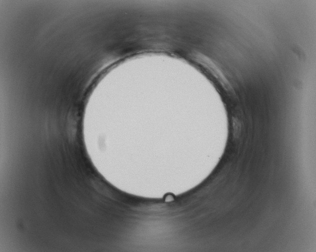 X0000116051260200912312245