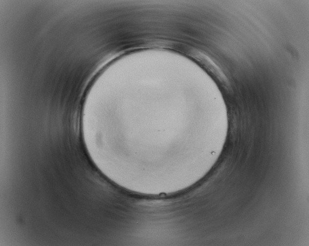 X0000116051276200912312245