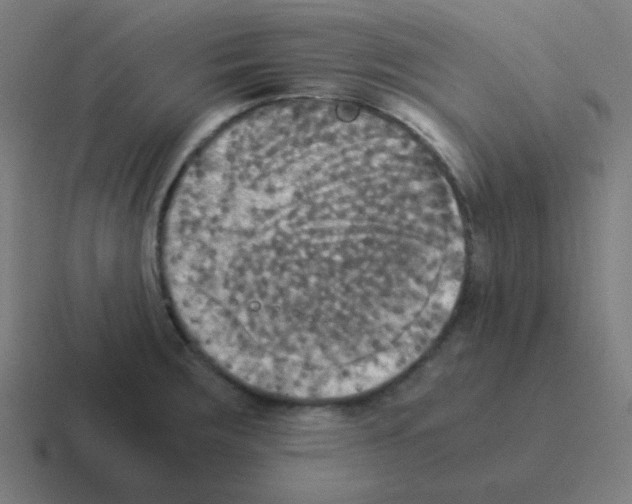 X0000116051283200912312245