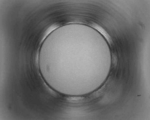 X0000116051290200912312245