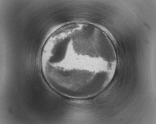 X0000116051295200912312245
