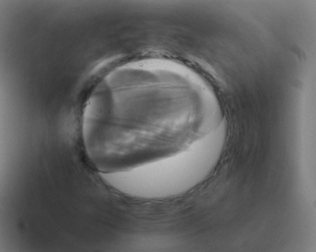 X0000116051303200912312244