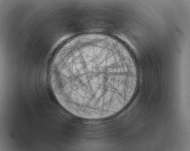 X0000116051307200912312244