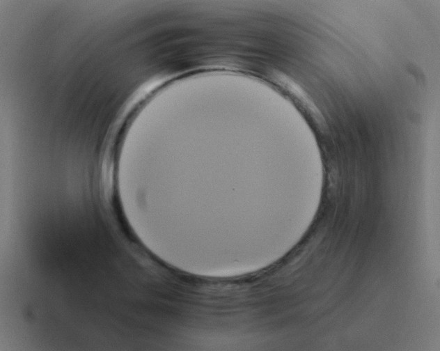 X0000116051323200912312244