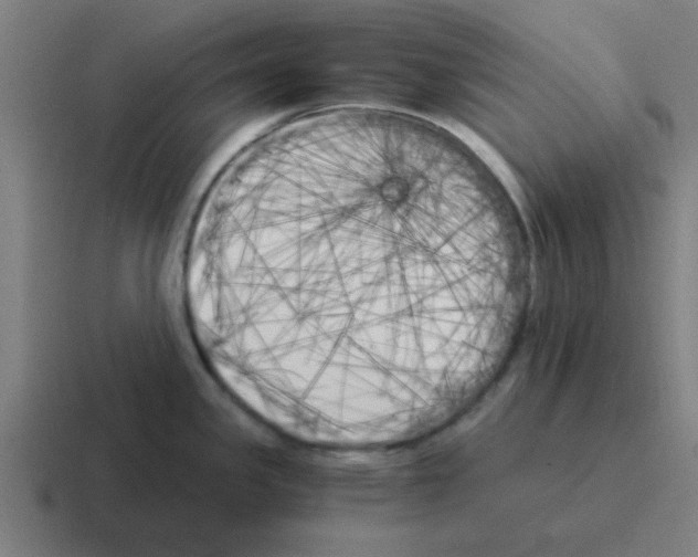 X0000116051341200912312244