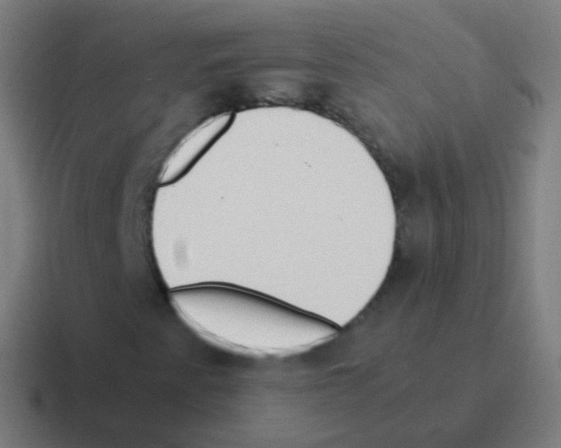 X0000116051345200912312244