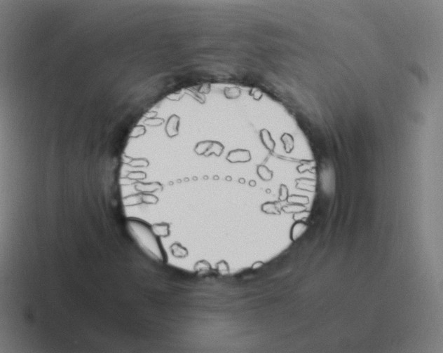 X0000116051347200912312244