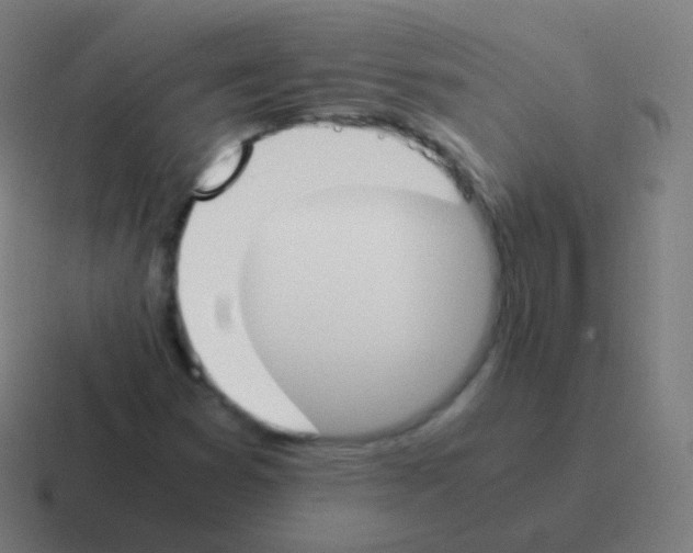 X0000116051353200912312244