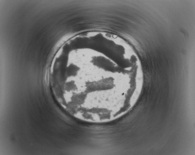 X0000116051371200912312244