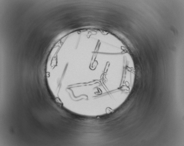 X0000116051375200912312244