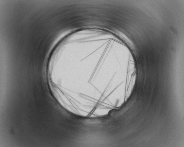 X0000116051384200912312243