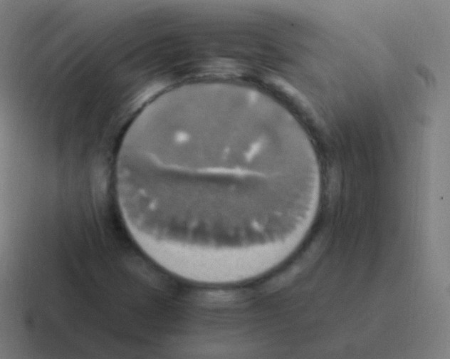 X0000116051401200912312243