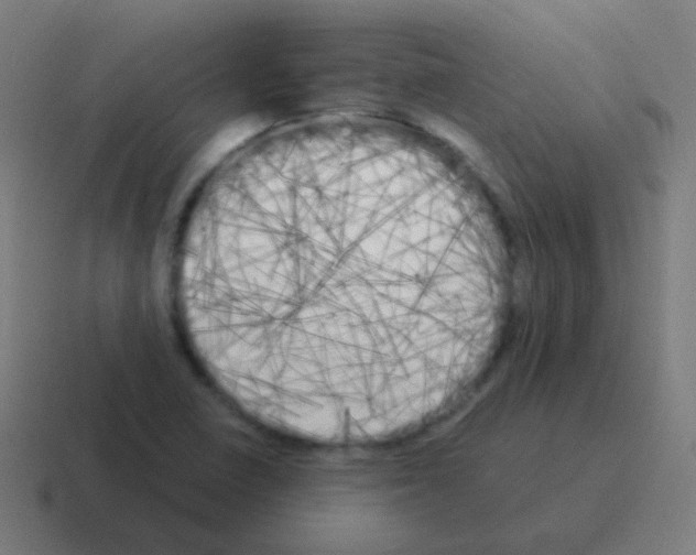 X0000116051410200912312243