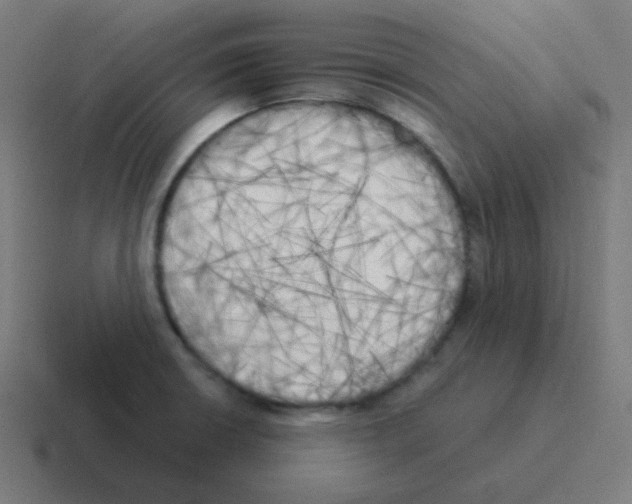 X0000116051426200912312243
