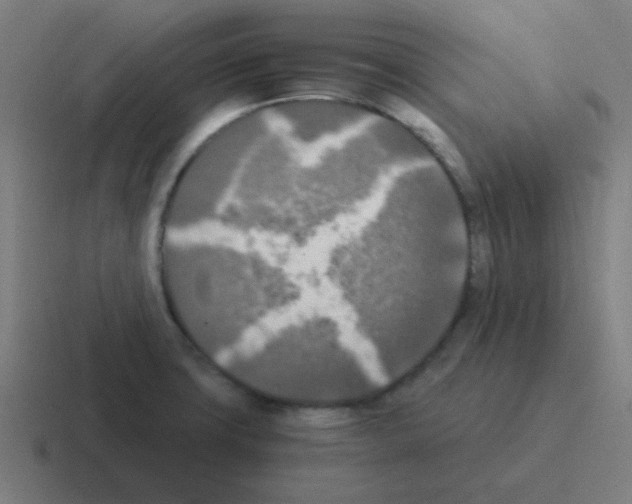 X0000116051427200912312243