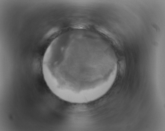 X0000116051446200912312243
