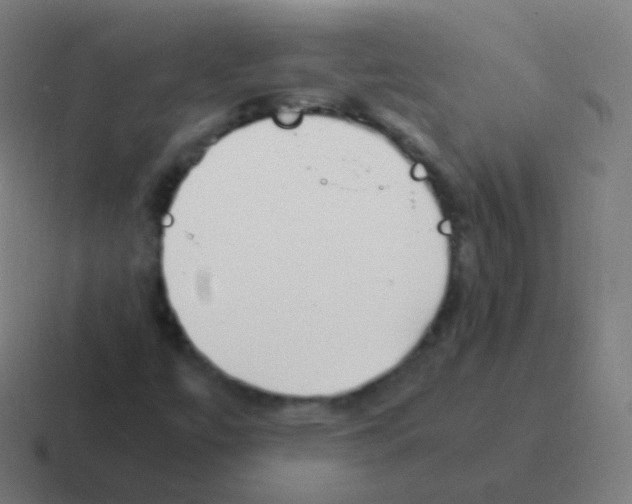 X0000116051447200912312243