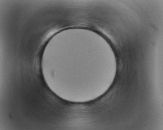 X0000116051455200912312243
