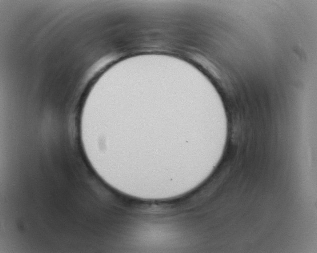 X0000116051458200912312242