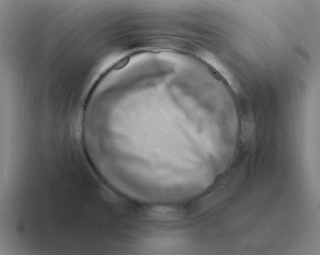 X0000116051477200912312242