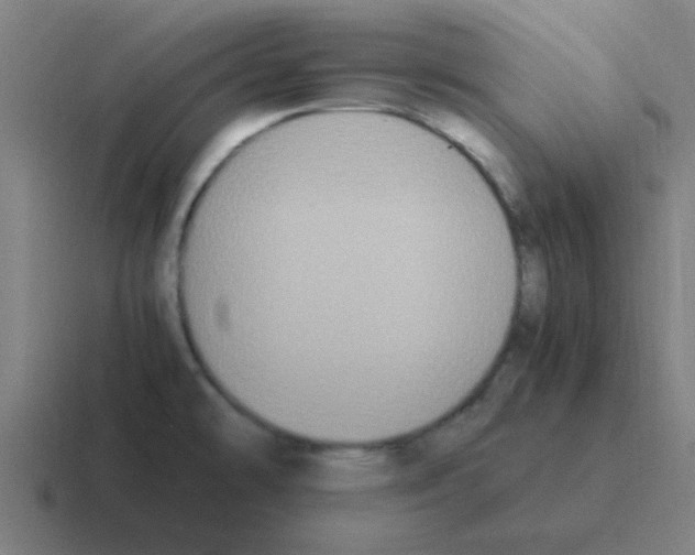 X0000116051478200912312242