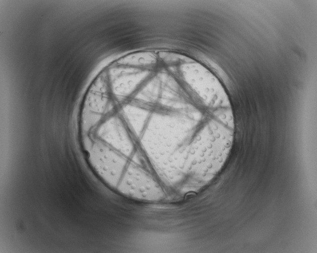 X0000116051483200912312242