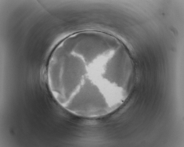 X0000116051509200912312242