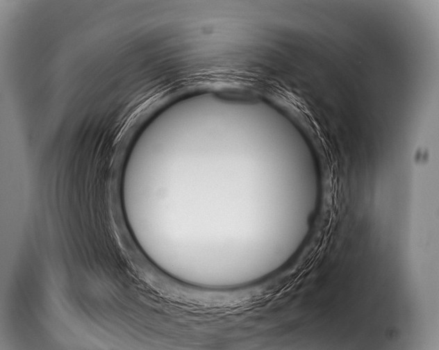 X0000116060001200911201211
