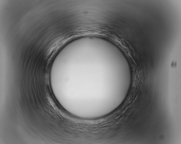 X0000116060002200911201211