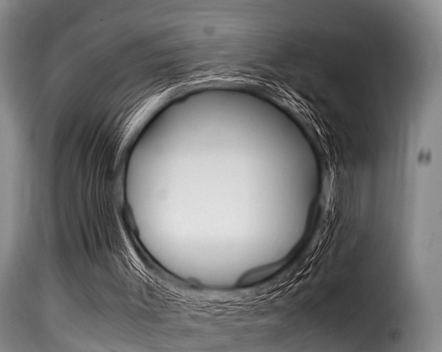 X0000116060003200911201211