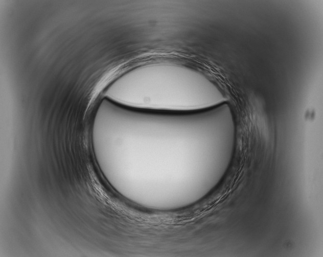 X0000116060004200911201211