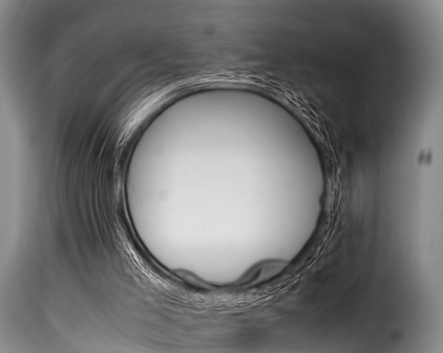 X0000116060005200911201211
