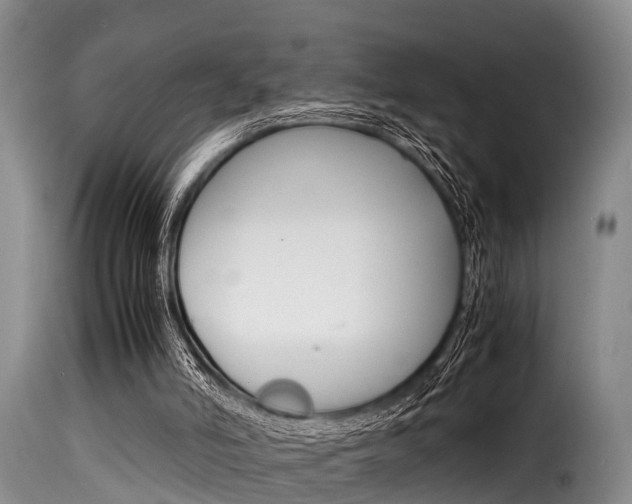 X0000116060006200911201211