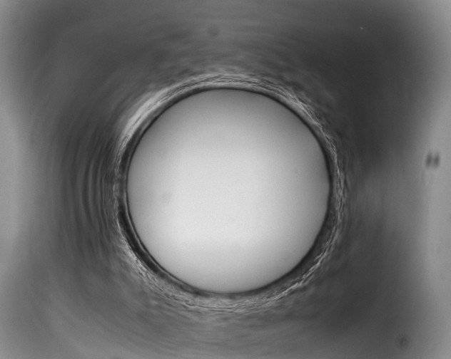 X0000116060007200911201211