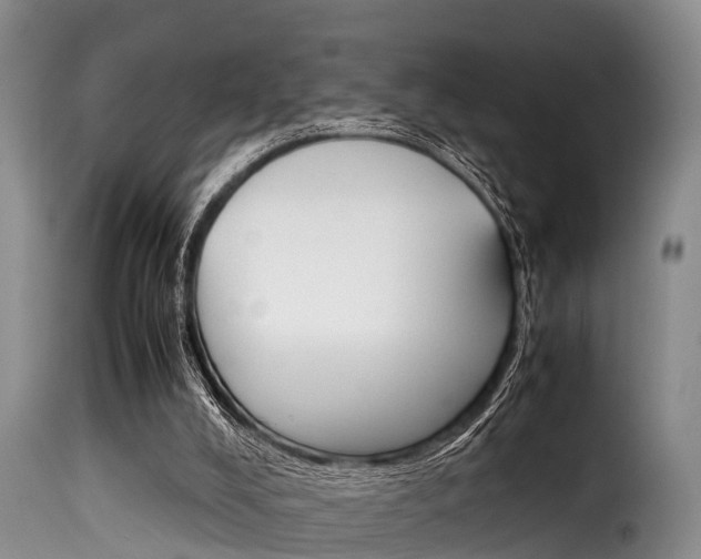 X0000116060008200911201211