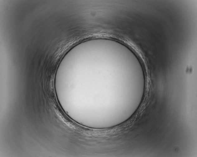 X0000116060009200911201211