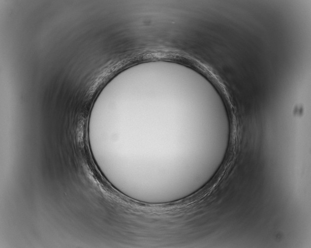 X0000116060010200911201211