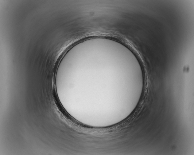 X0000116060011200911201211