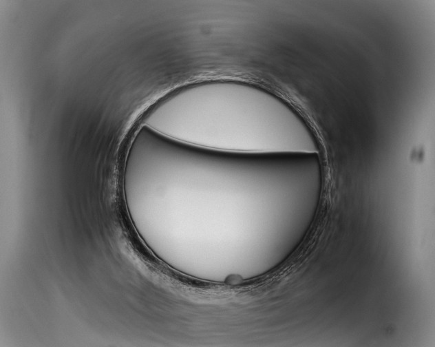 X0000116060012200911201211