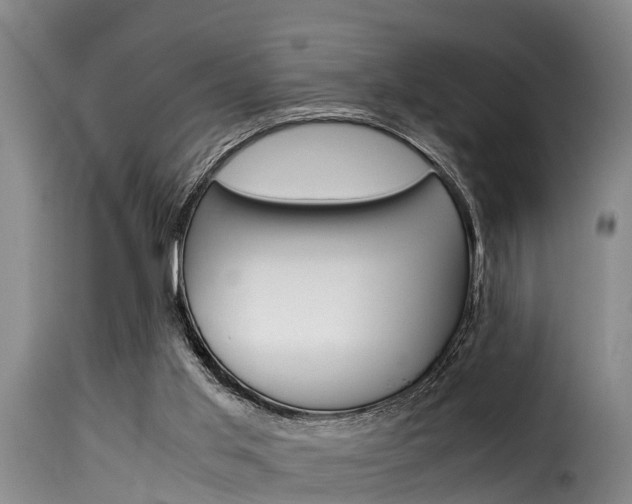 X0000116060013200911201211