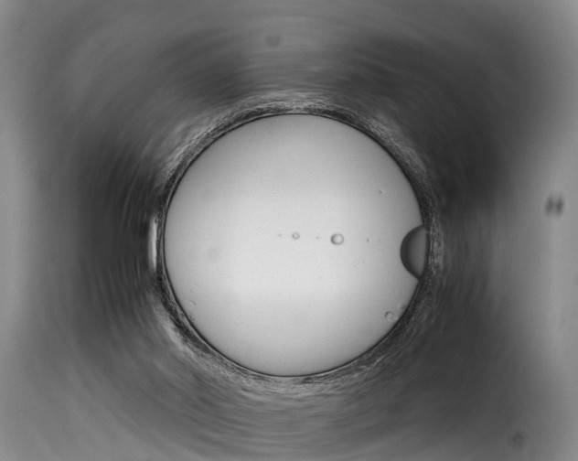 X0000116060014200911201211