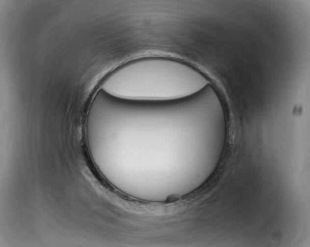 X0000116060015200911201211