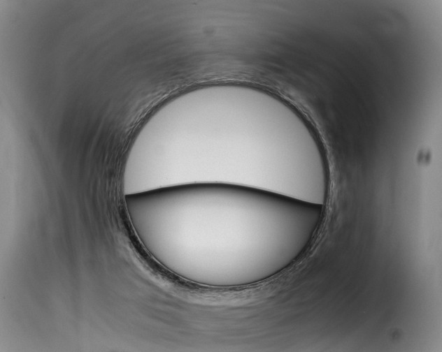 X0000116060017200911201211