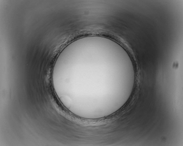 X0000116060018200911201211