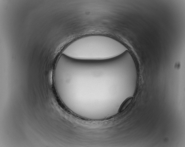 X0000116060019200911201211
