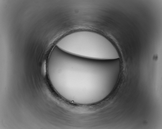 X0000116060020200911201211