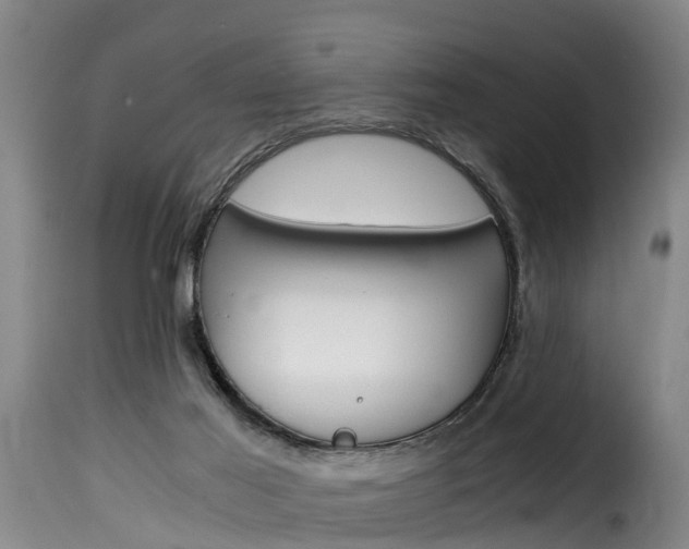 X0000116060021200911201211